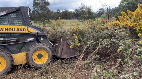 cost for blackberry clearing skid steer|tractorbynet blackberry clearing.